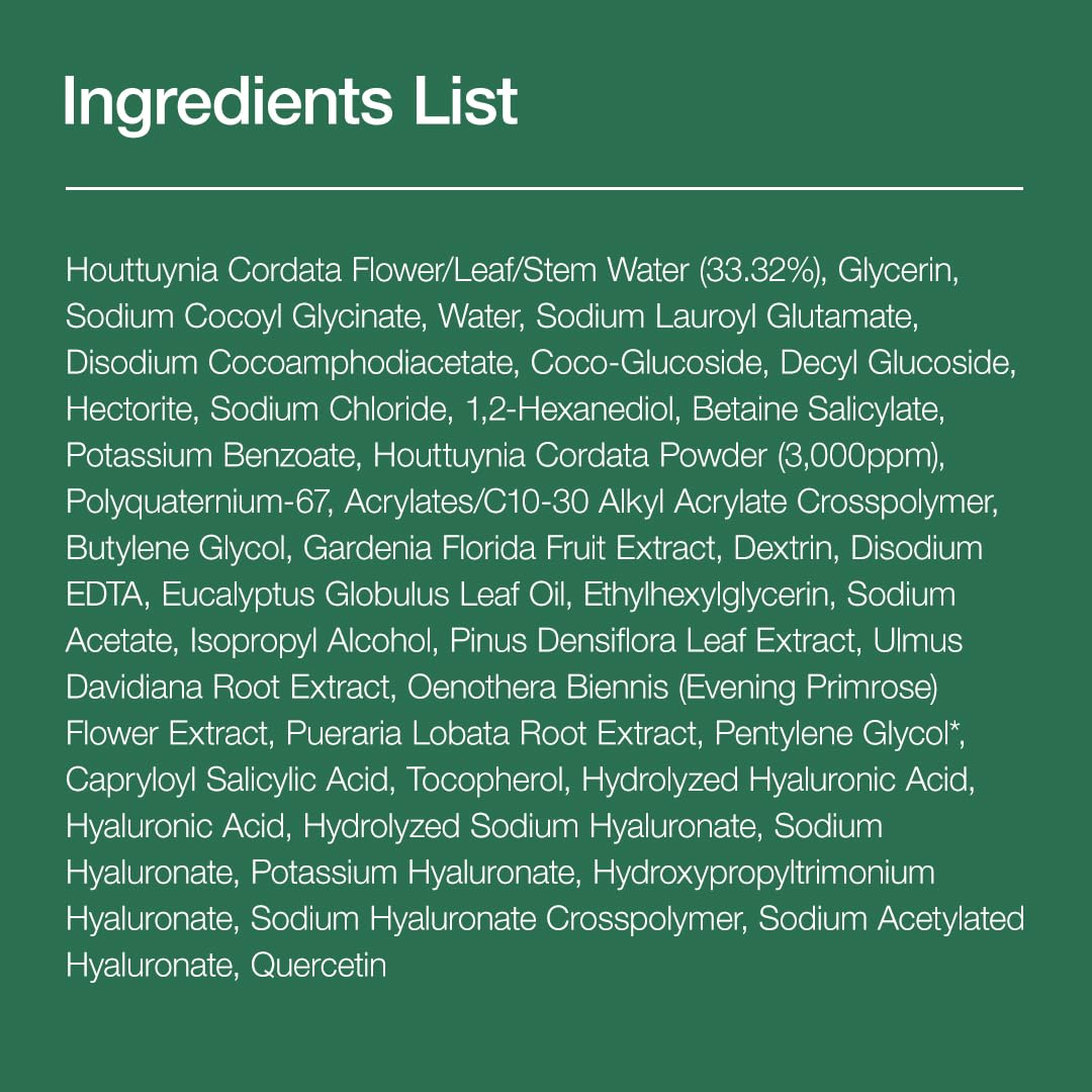Anua Heartleaf Pore Refining Foam - Hydrating BHA Cleanser