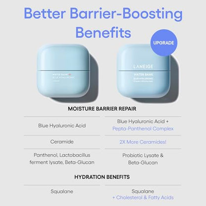 Hydrating Korean Face Cream: LANEIGE Water Bank Mini