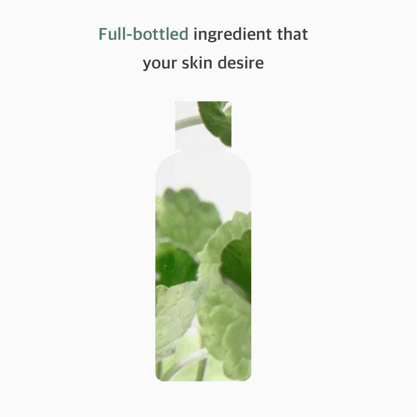Mixsoon Centella Asiatica Toner - Hydrating CICA Formula 150ml