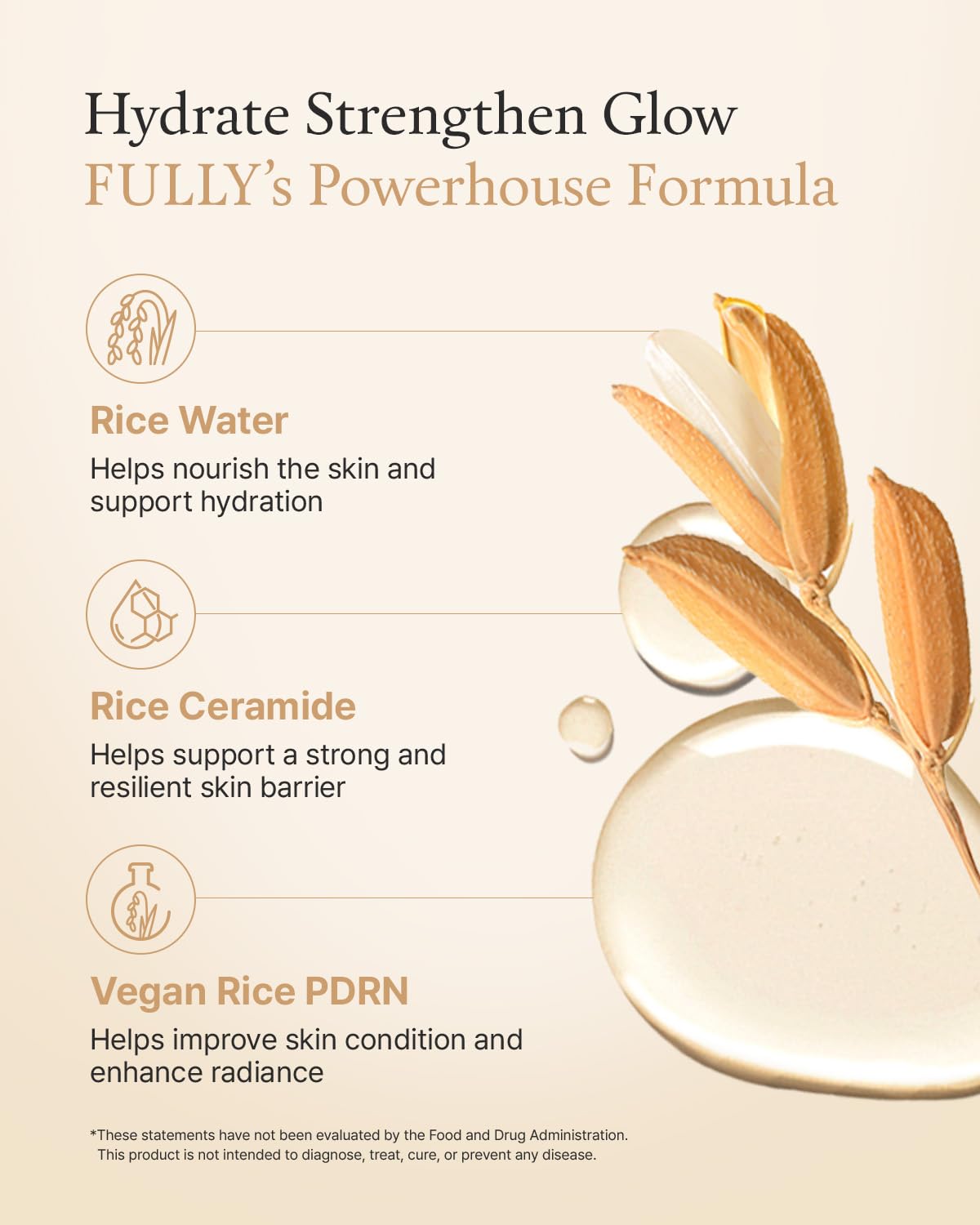 Rice Ceramide Cream - Deep Hydration & Glowing Skin