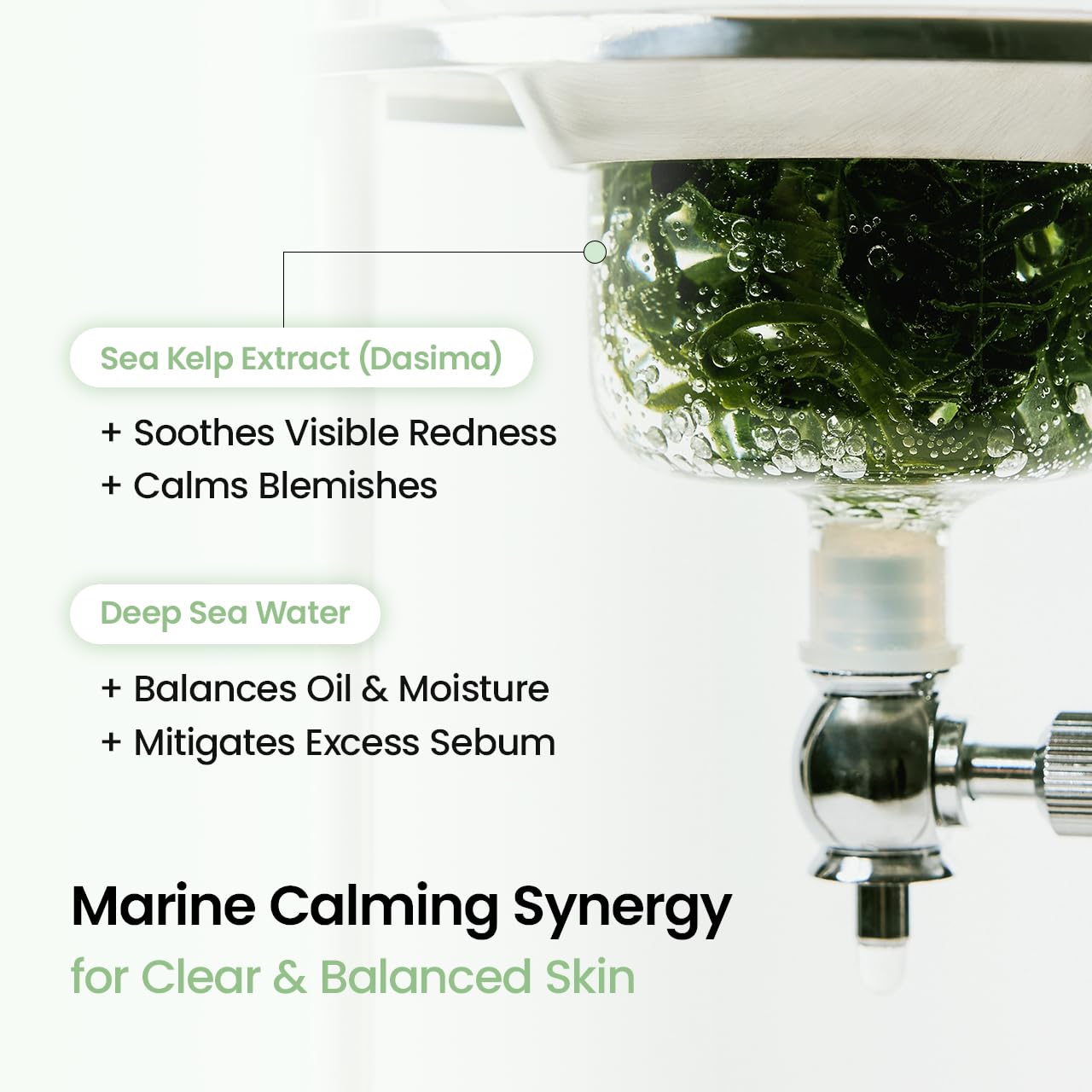 Sea Kelp Hydrogel Mask - Overnight Calm & Blemish Care