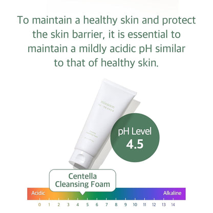 Mixsoon Centella Cleansing Foam - Cica, Low pH, Hydrating 150ml