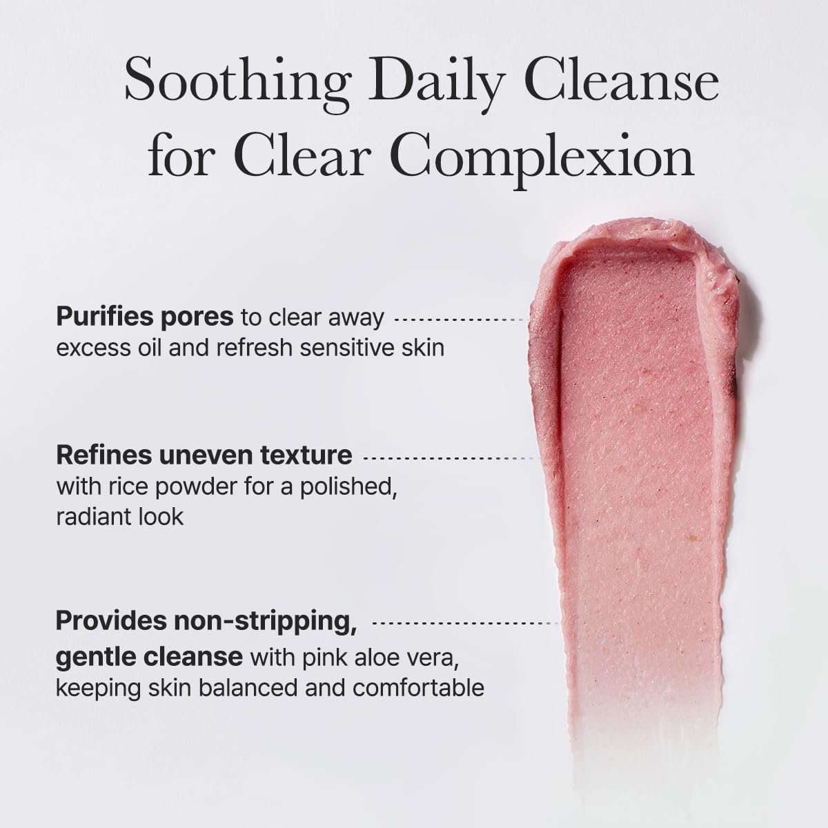 Rosehip Brightening Rice Mochi Cleanser & Scrub - 4.23oz