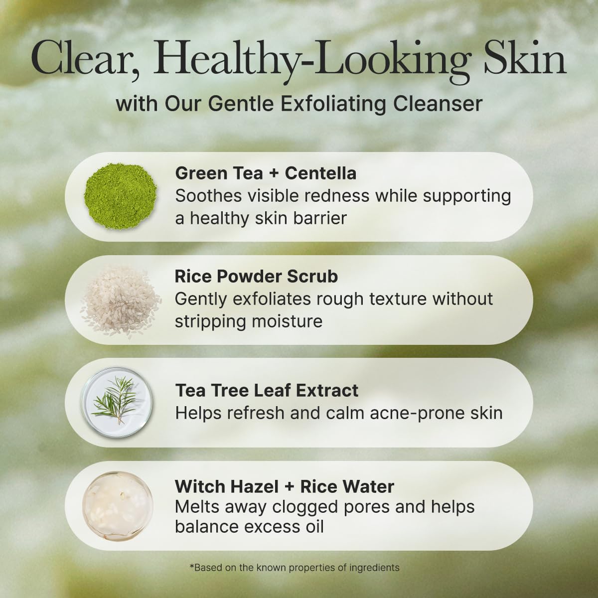 Korean Rice Mochi Face Cleanser - Deep Clean & Moisturize