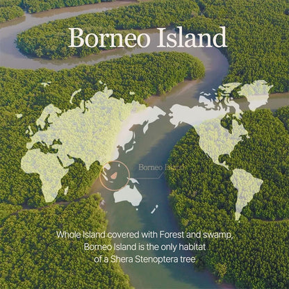 Vegan Lip Balm - Shea Butter Moisturizing, Dry Rose 4.1g