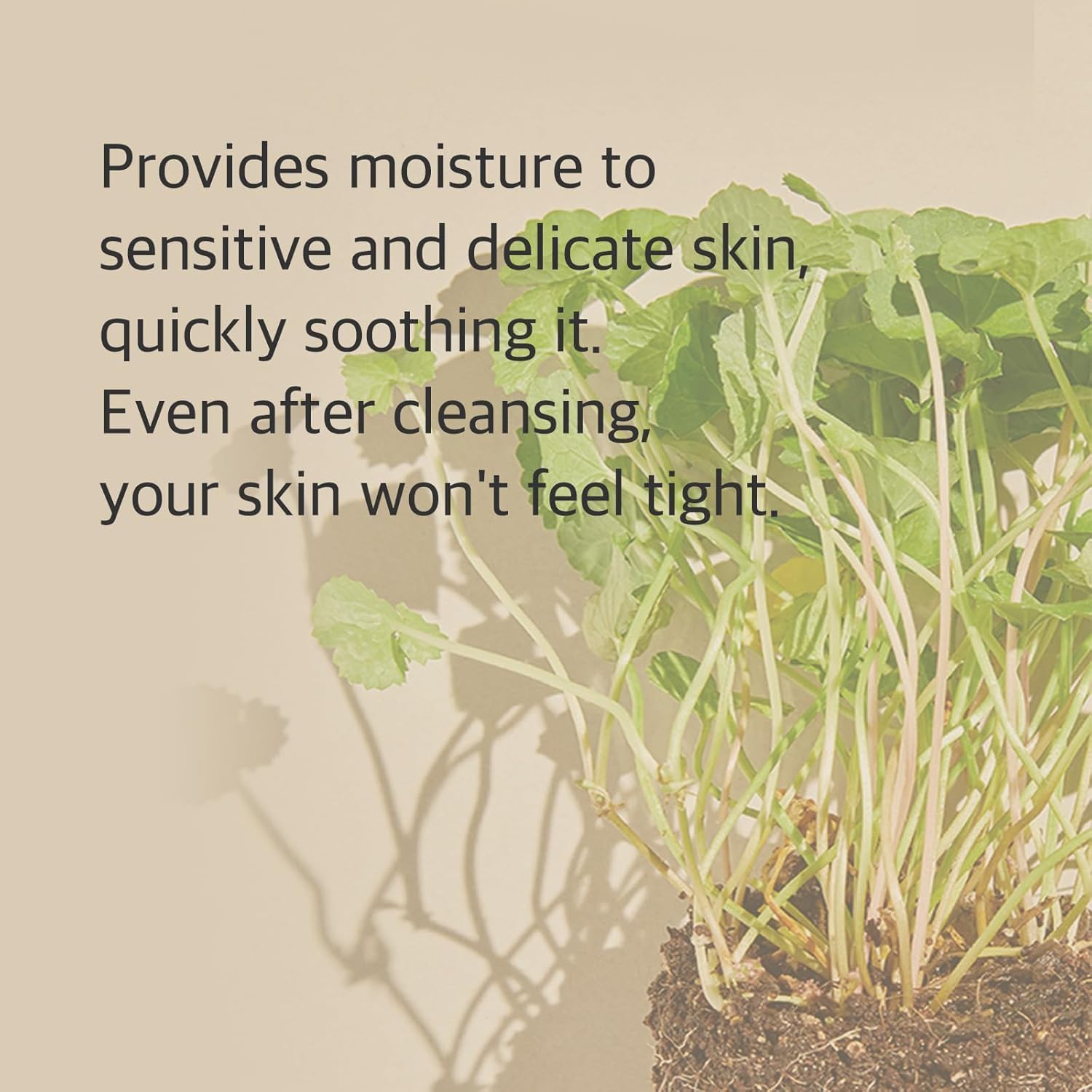 Mixsoon Centella Cleansing Foam - Cica, Low pH, Hydrating 150ml