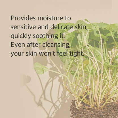 Mixsoon Centella Cleansing Foam - Cica, Low pH, Hydrating 150ml