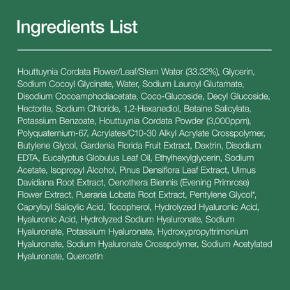 Anua Heartleaf Pore Refining Foam - Hydrating BHA Cleanser