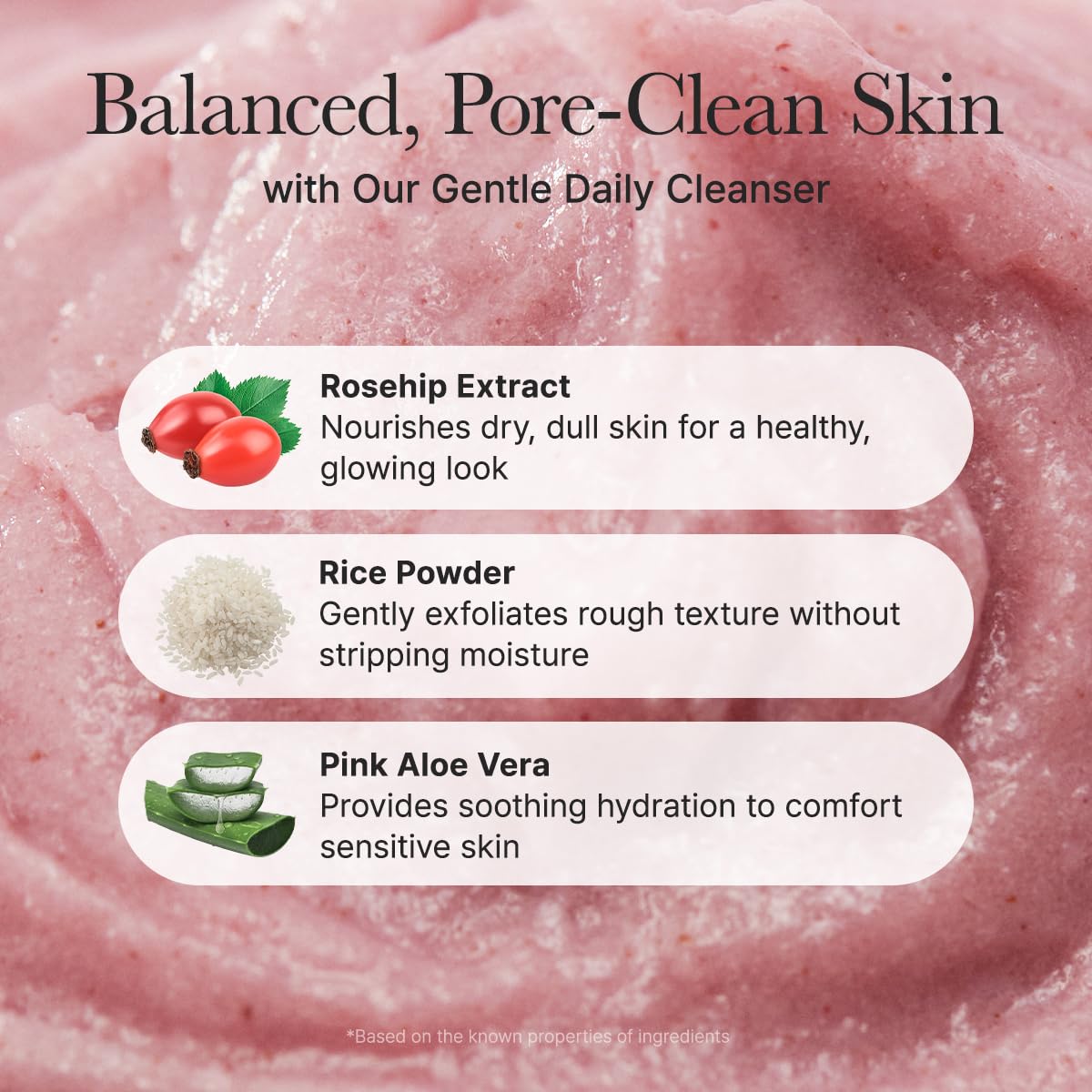 Rosehip Brightening Rice Mochi Cleanser & Scrub - 4.23oz