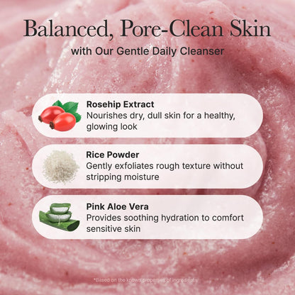 Rosehip Brightening Rice Mochi Cleanser & Scrub - 4.23oz