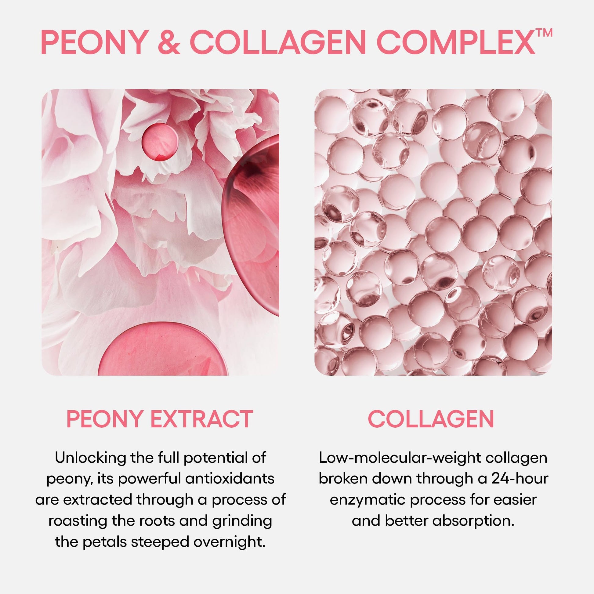 LANEIGE Sleeping Mask: Firm & Revitalize with Peony & Collagen