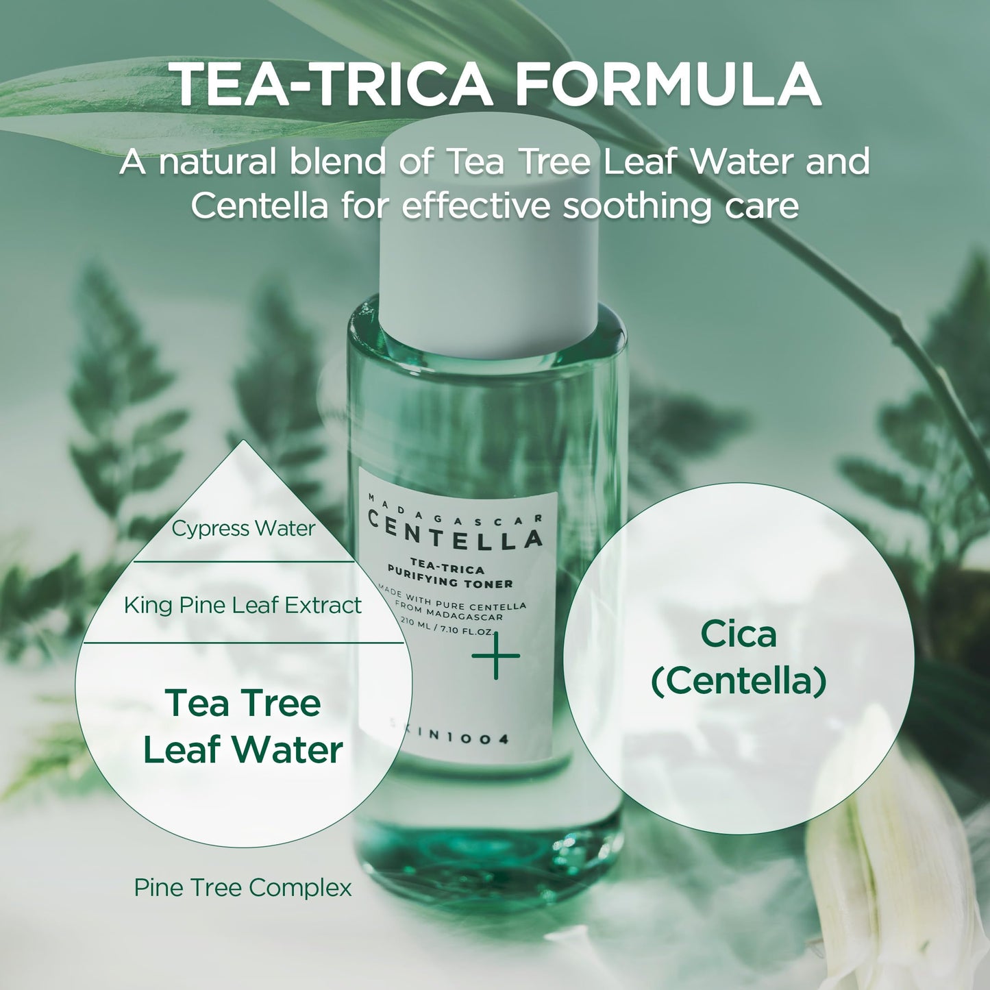 Tea Tree & BHA Toner for Oil Control & Hydration - 210ml