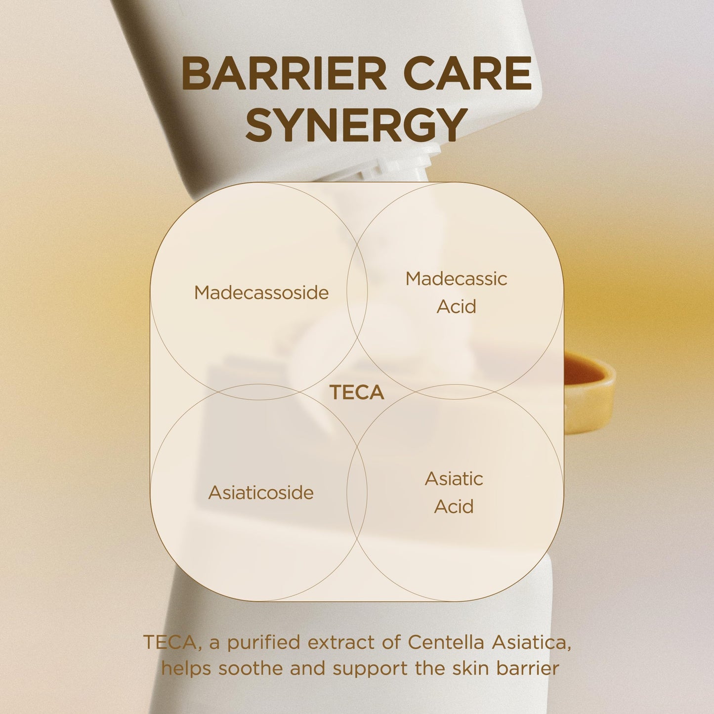 Centella Cream: Korean Moisturizer with Shea & Panthenol